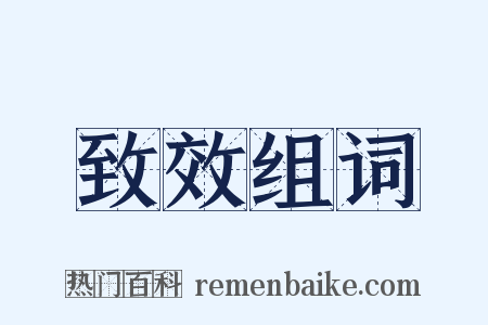 致效组词是什么意思的图片